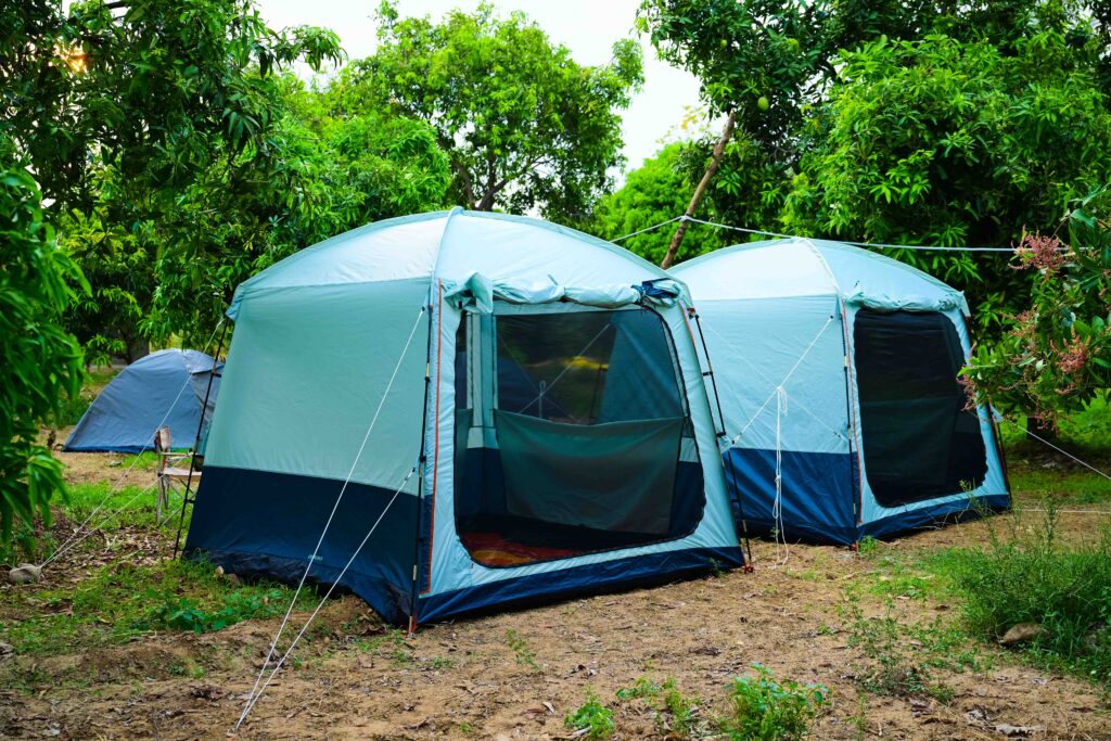Wild Tent Near Tada