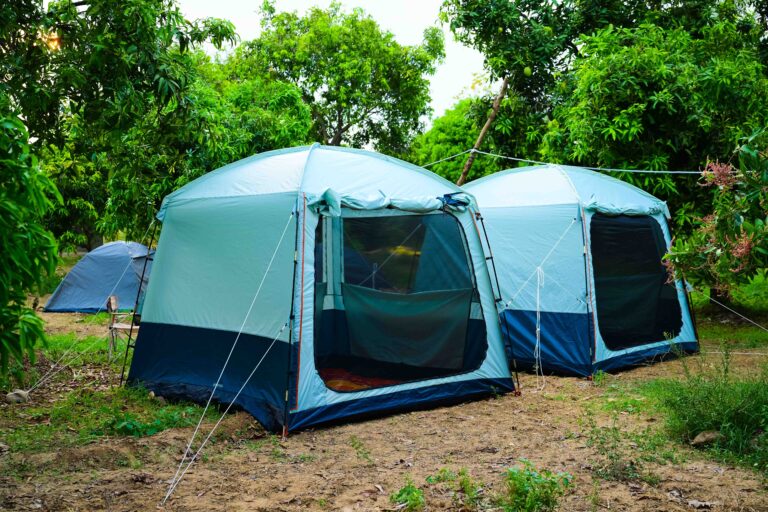 Wild Tent Near Tada