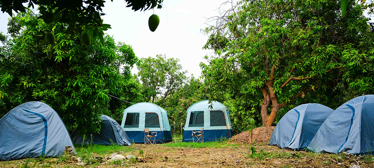 Wild-Tent-Banner-A2