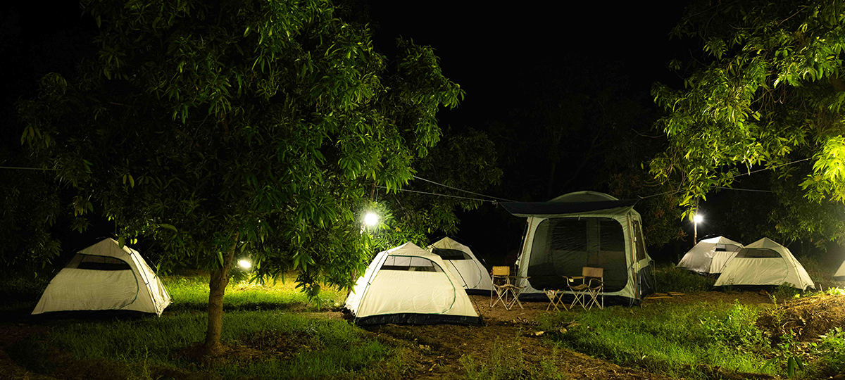 Wild-Tent-Banner-A3